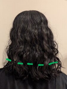 自然乾燥した後の髪の毛。地毛と縮毛矯正部分の境目に緑色の線が引いてある。