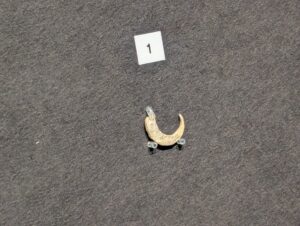 氷河期の釣り針