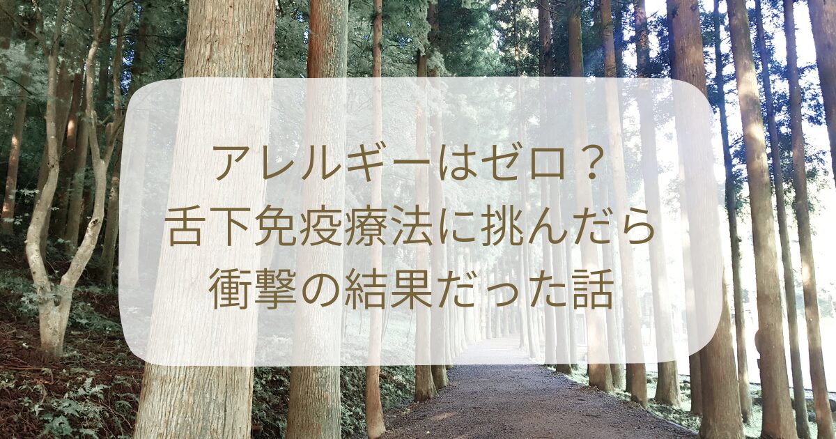 杉並木の道。舌下免疫療法を始めようとしたらアレルギー陰性だった記事のアイキャッチ画像