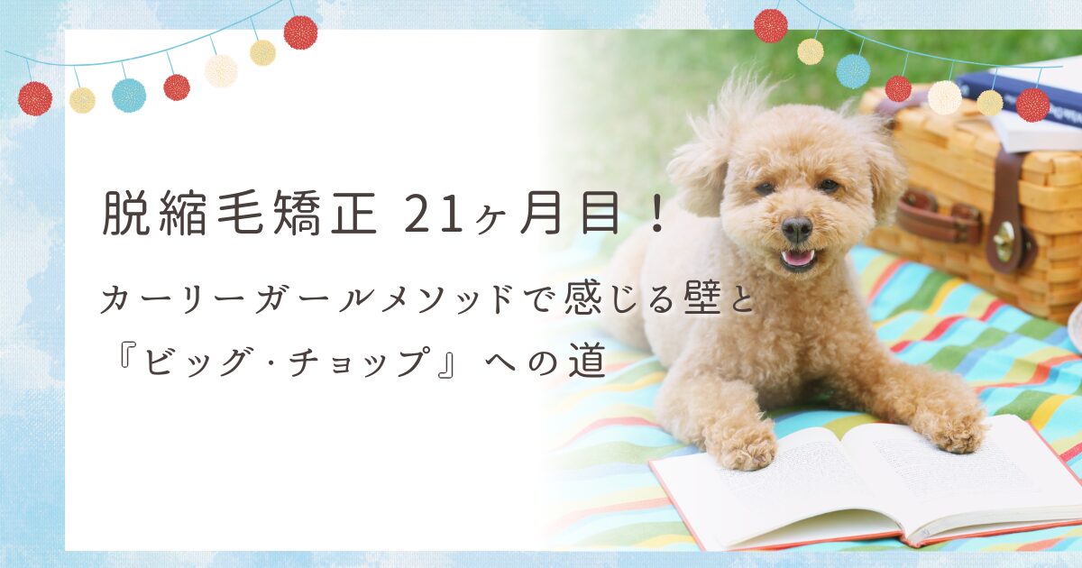 脱縮毛矯正 21ヶ月目 のブログ記事アイキャッチ