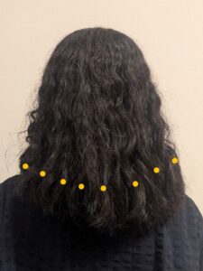 ２２ヶ月目の髪の様子