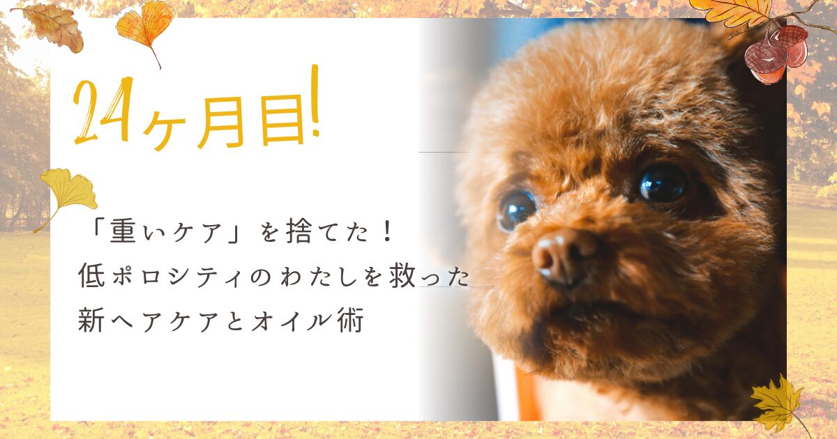 脱縮毛矯正24か月目の経過報告記事のアイキャッチ