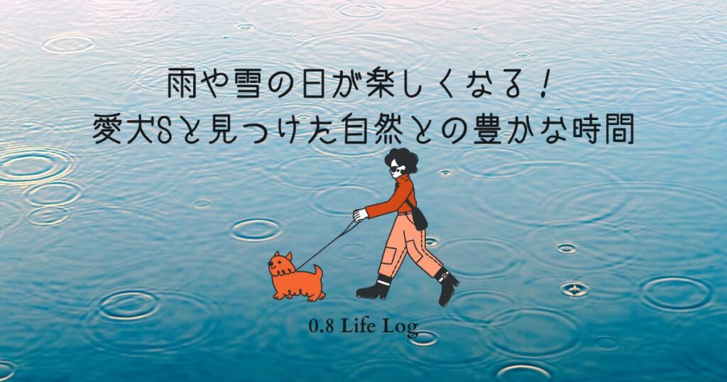 【犬の散歩】雨や雪の日が楽しくなる！愛犬Sと見つけた自然との豊かな時間というブログ記事のアイキャッチ
